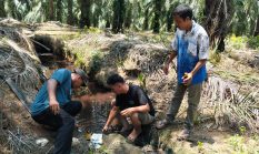 berita-pilihan-foto