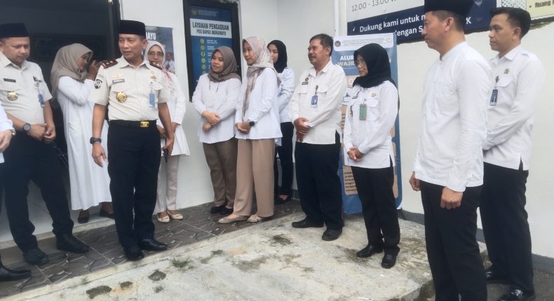 foto slider headline