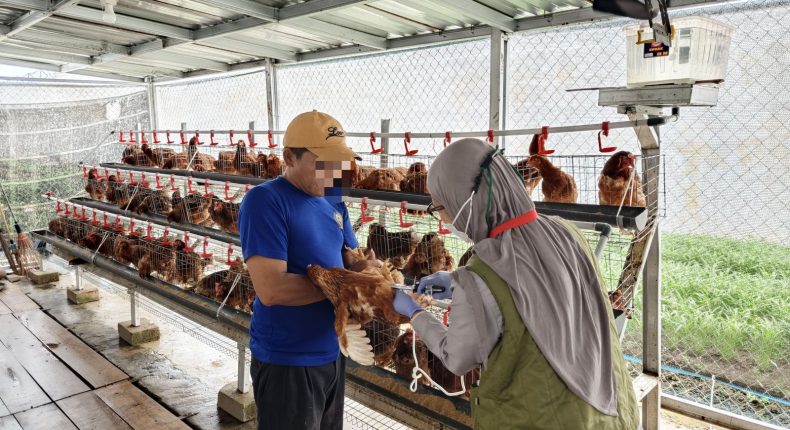 foto slider headline